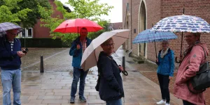 Galeriebild