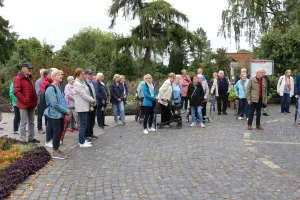 Galeriebild