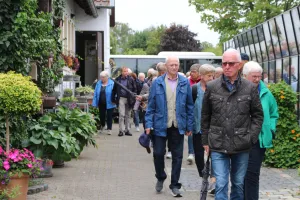 Galeriebild