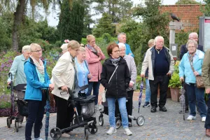 Galeriebild