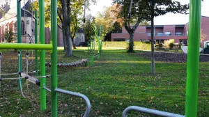 Galeriebild