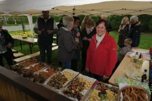 Galeriebild