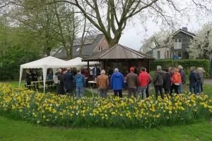 Galeriebild