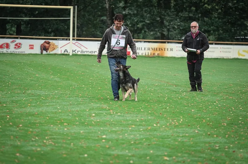 Die Teilnehmer zeigten auch hier den hohen Ausbildungsstand ihrer Hunde