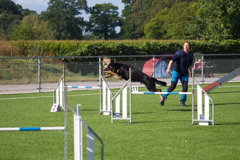 An beiden Tagen mussten die Hunde anspruchsvolle Parcours bewältigen